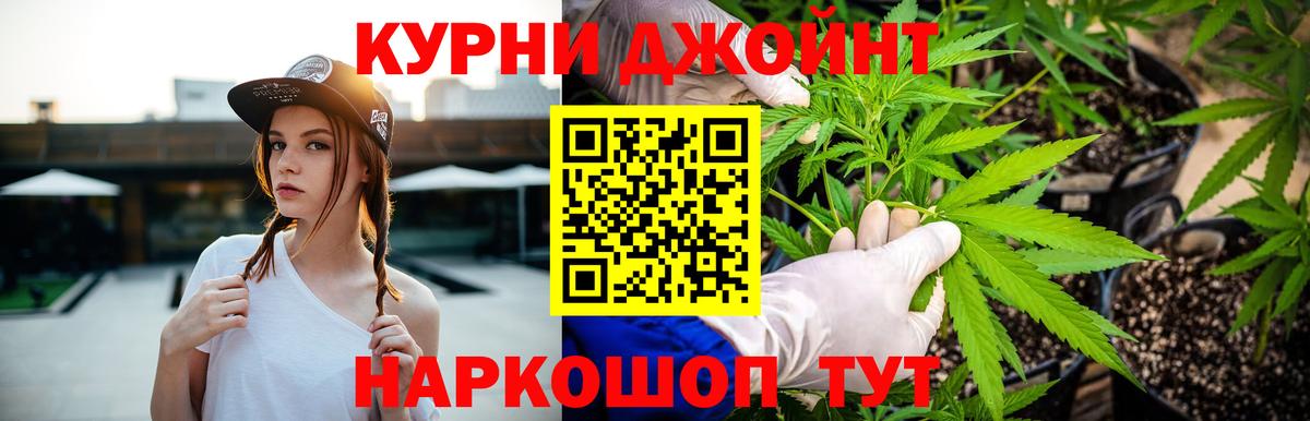Канабис ГИДРОПОН  Конопля OG Kush  Вход с VPN  Елабуга  Конопля White Widow 